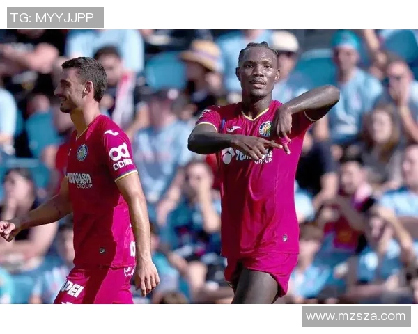 足球星光璀璨背后的奋斗与荣耀：从草根到世界之巅的传奇人生